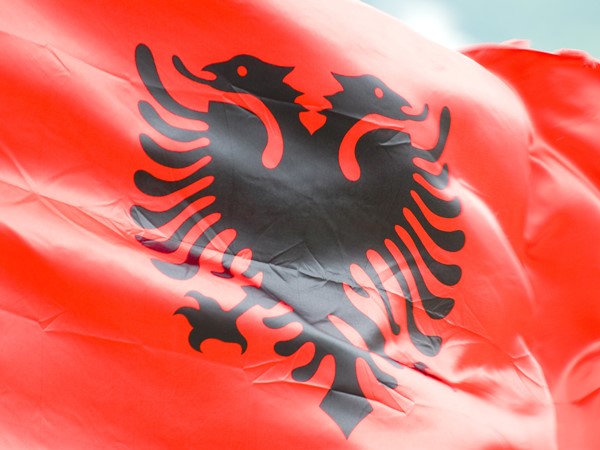 Bandera albanesa